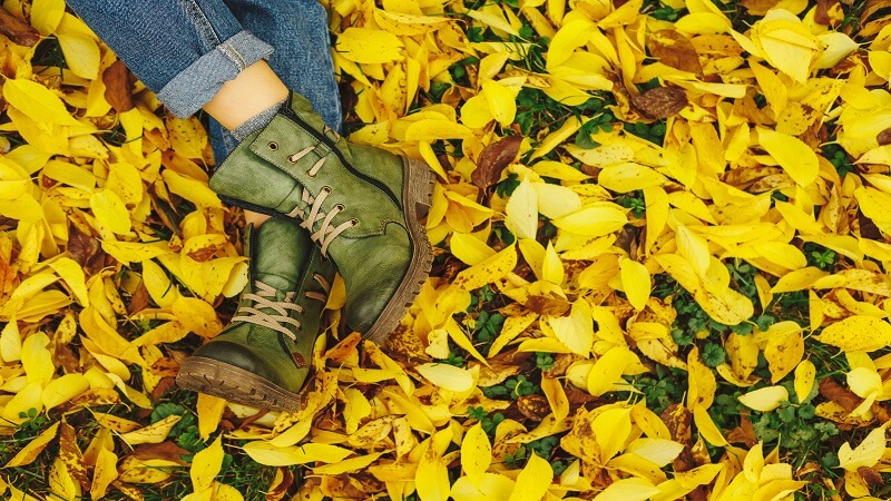 Autumn's Advance: Essential Steps for Winterizing Your Lawn